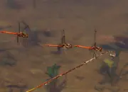 Heidelibelle 2011_IMG_8119