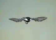 Tannenmeise  2012_IMG_1747